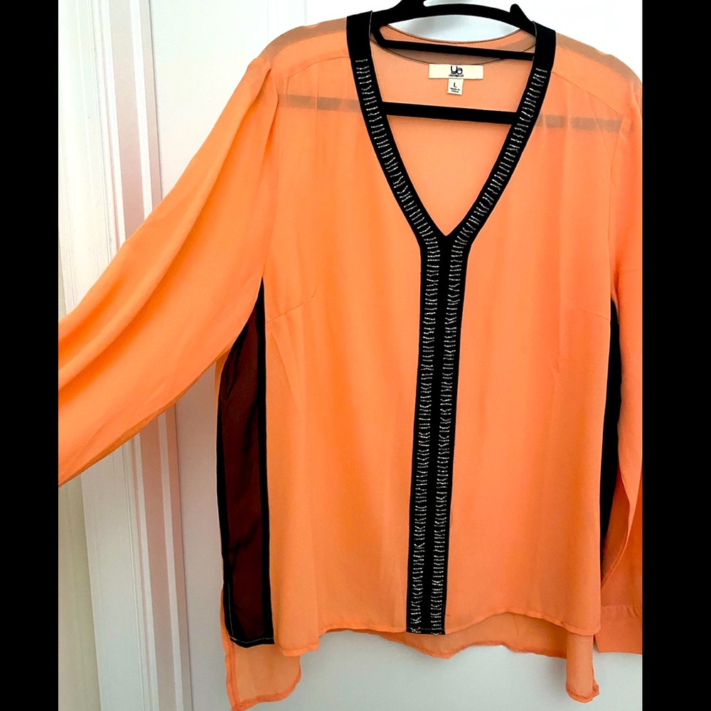 Peach and Black Sheer Blouse